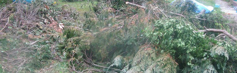 Best Rubbish Removal Sydney
